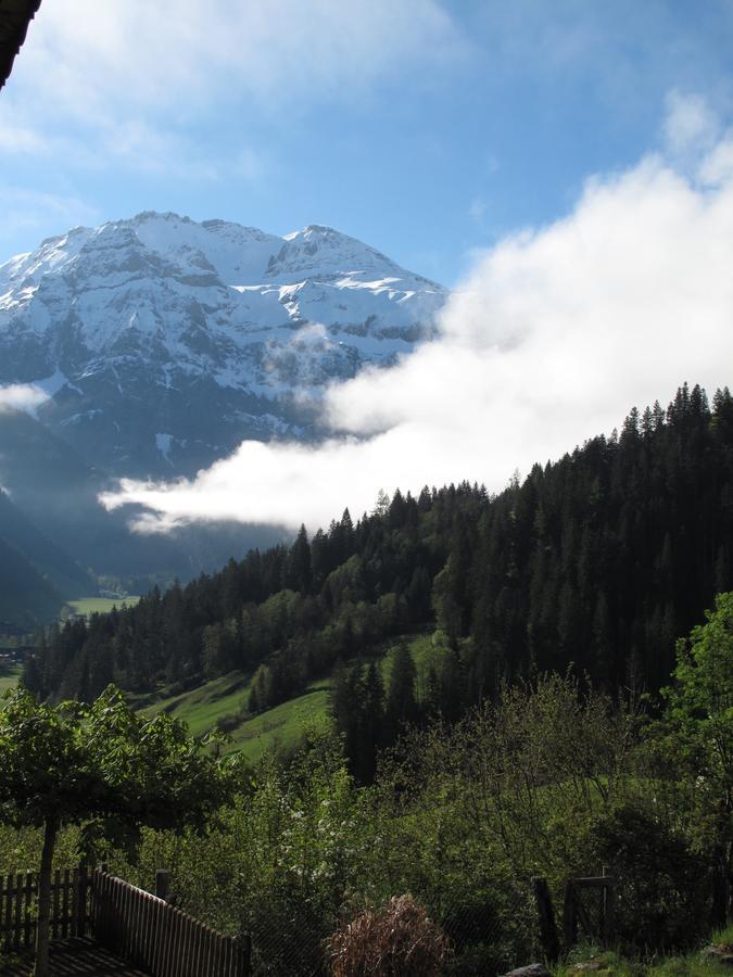 Bergluft Bed & Breakfast Lenk Dış mekan fotoğraf