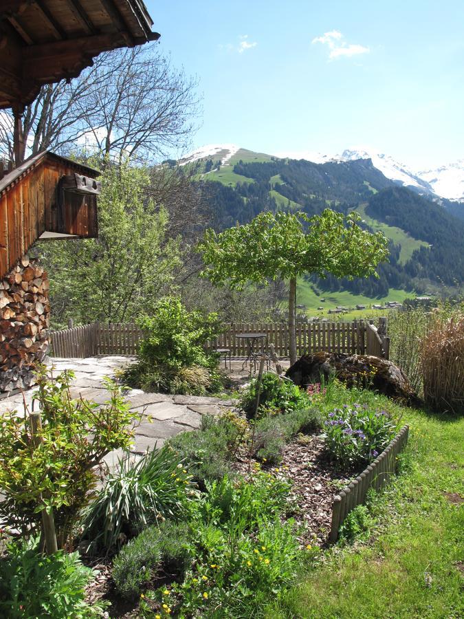 Bergluft Bed & Breakfast Lenk Dış mekan fotoğraf